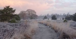 5 prachtige winterwandelingen