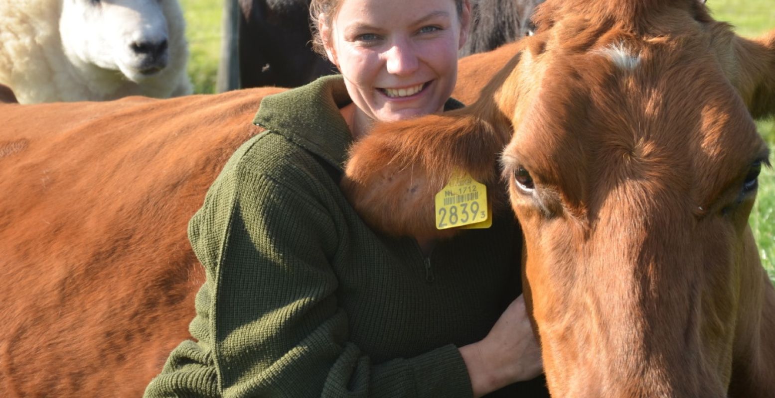 Ga op kamp op een boerenerf, help mee met klusjes en knuffel koeien. Foto: LekkerBoer.