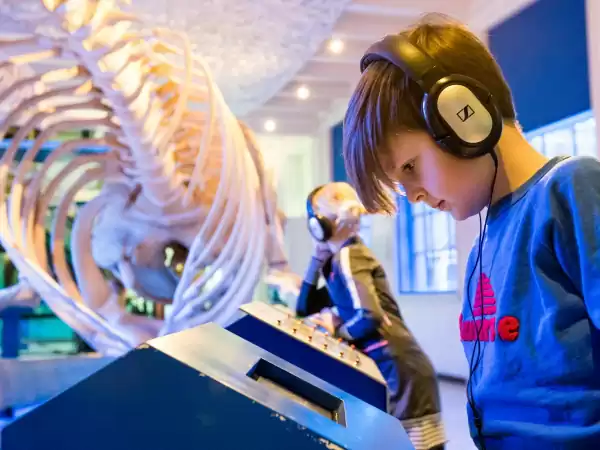 Zoveel te zien en zoveel leuke weetjes! Foto: Natuurmuseum Fryslân