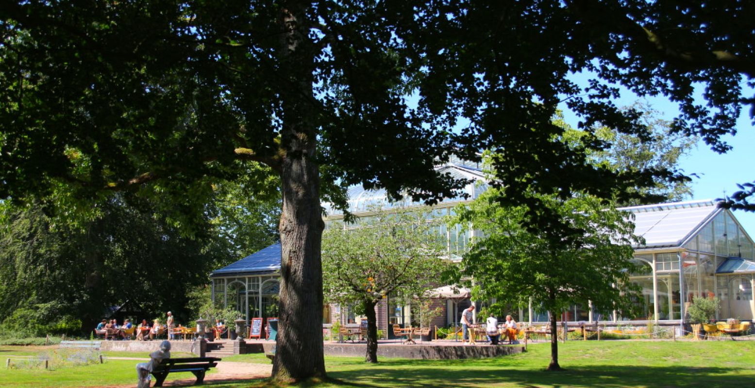 Het Cantonspark, met achter de bomen de Wintertuin Experience. Foto: DagjeWeg.NL, Coby Boschma.