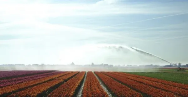 Meivakantie en Bevrijdingsdag!