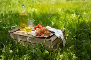 Historische Pracht & Picknickplezier Foto geüpload door gebruiker Waterlinie Evenement