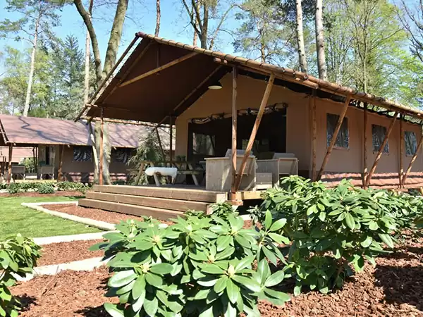Glamping! Ook dat kan. Foto: Ommerland © Manon Loots Glamping! Ook dat kan. Foto: Ommerland © Manon Loots