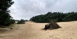 De mooiste zandverstuivingen in Nederland Wandel over het Wekeromse Zand. Foto: DagjeWeg.NL