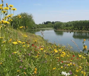 Zomeravondwandeling Foto geüpload door gebruiker Geldersch Landschap en Kasteelen
