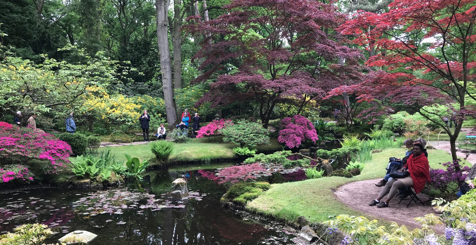 Ontdek de bijzondere sfeer van de Japanse tuin in Den Haag. Foto: DagjeWeg.NL © Grytsje Anna Pietersma