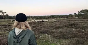 Ontdek de mooie natuur van Nederland met deze tips Ontdek hoe mooi de natuur in Nederland is. Foto: Jonna Arendse