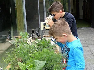Voor kinderen is er van alles te doen, zoals plantjes onderzoeken. Foto: Museum Wierdenland