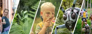 Grote Insecten Foto: Natura Docet