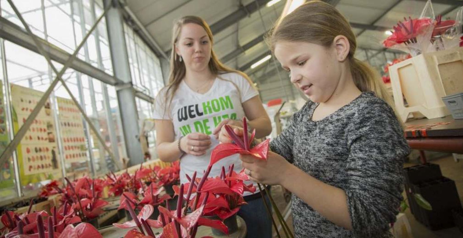 Ontdek kleurrijke bloemen in de kas. Foto: Kom in de Kas © Rolf van Koppen