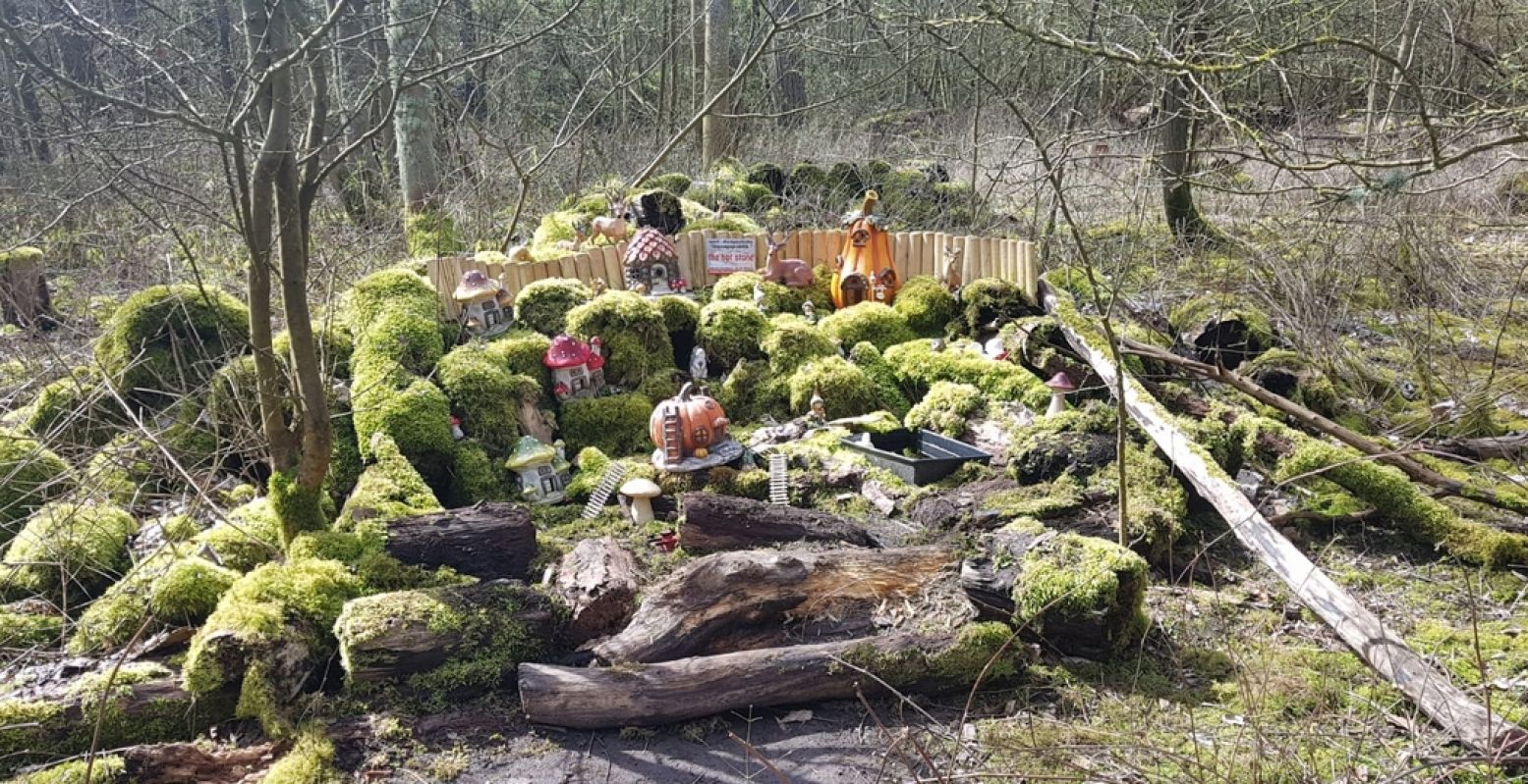 Een compleet kabouterdorpje in Kabouterbos Renesse, waar je de kabouters overal in het bos tegenkomt. Foto: Nikki Arendse