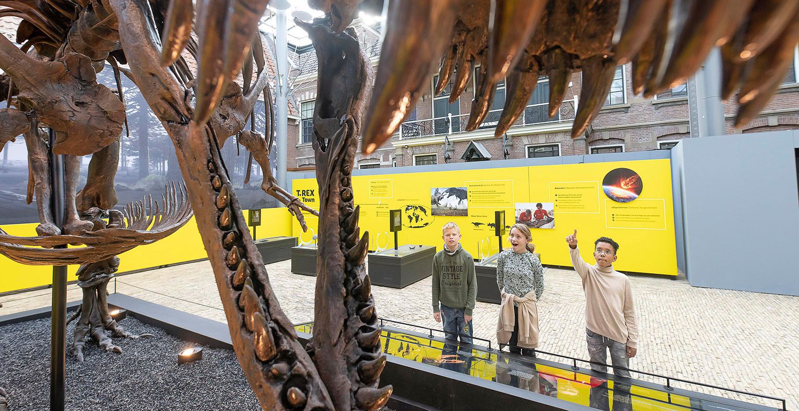 Wat groot! Sta oog in oog met het skelet van een Tyrannosaurus Rex. Foto: Natuurmuseum Fryslan