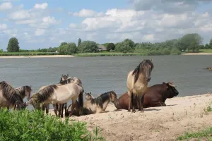 Struintocht Munnikenland Foto geüpload door gebruiker Stichting Liniebreed Ondernemen.