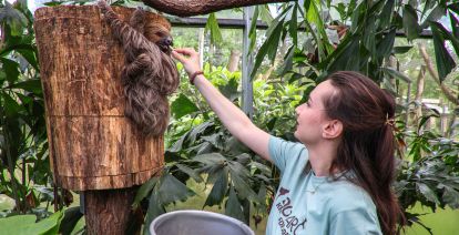 Kom dichtbij je favoriete dieren met de leukste dierentuin activiteiten. Foto: ZooParc Overloon ©