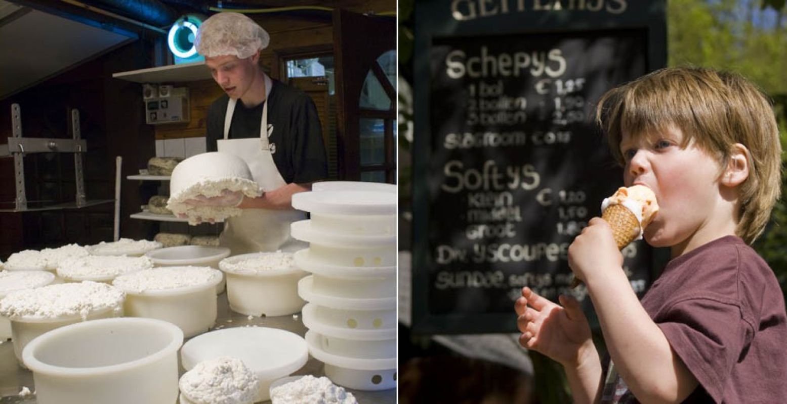 Proef verse producten, gemaakt van geitenmelk. Zoals het heerlijke schepijs! Foto: Geitenboerderij Ridammerhoeve.