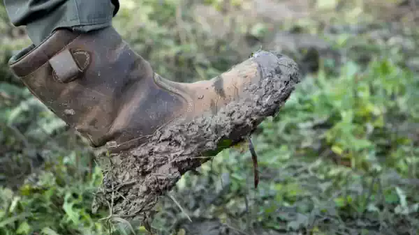 Laars met modder | Foto geüpload door gebruiker Staatsbosbeheer. Laars met modder | Foto geüpload door gebruiker Staatsbosbeheer.