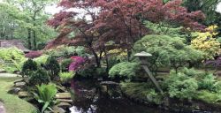 Japans paradijsje in Den Haag