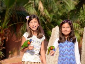 Avifauna