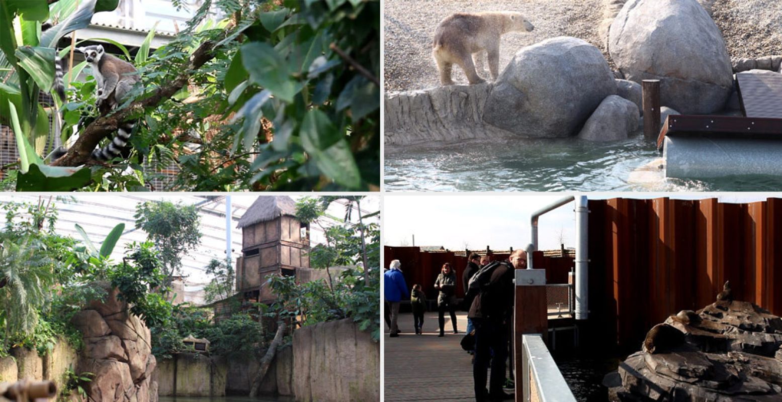 WILDLANDS in Emmen wist de meeste bezoekers te trekken.