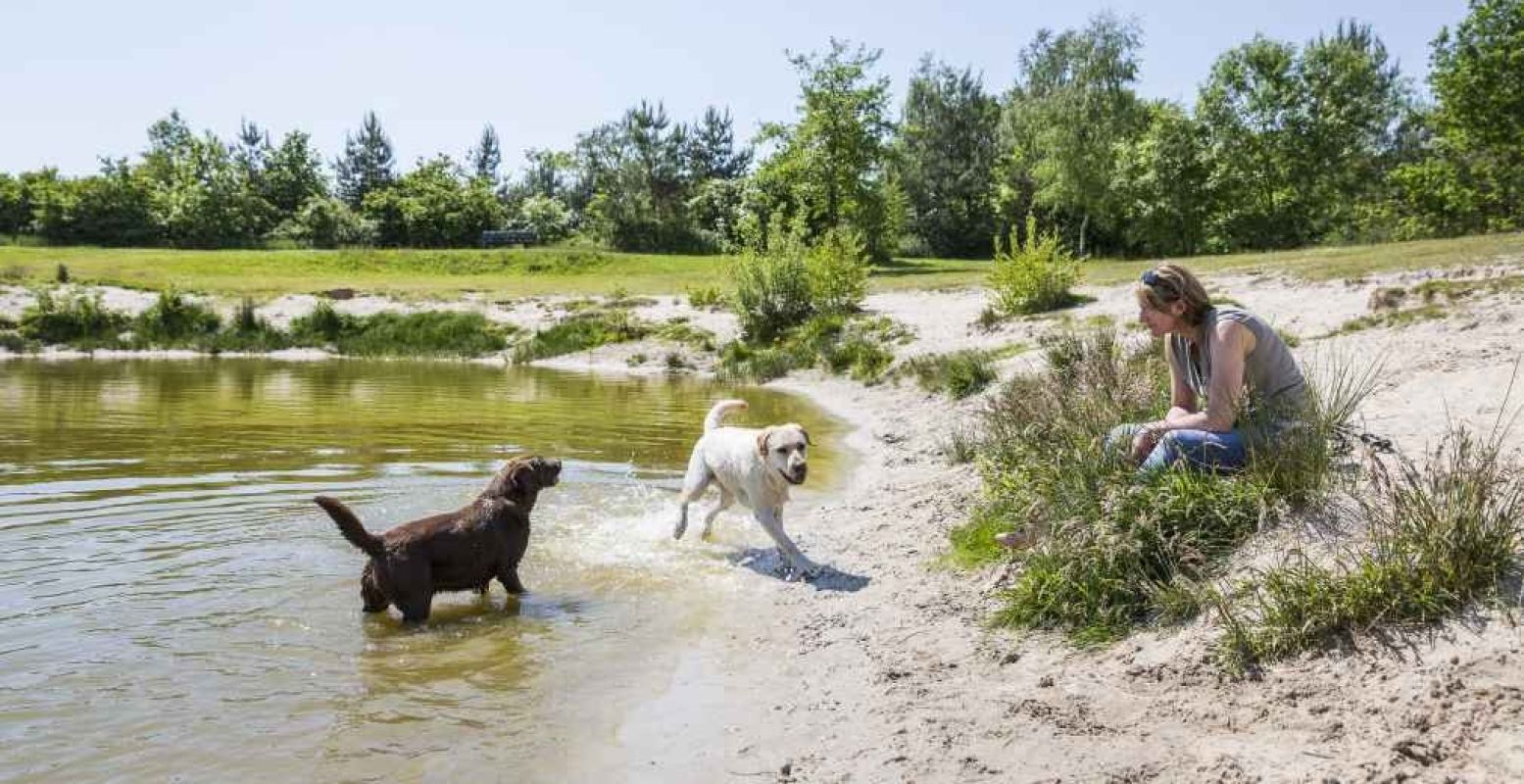 Neem Bello een dagje mee op stap. Foto: Landal