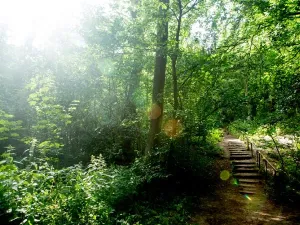 Wandelen door het groen. Foto: Wandelpark Caprera.