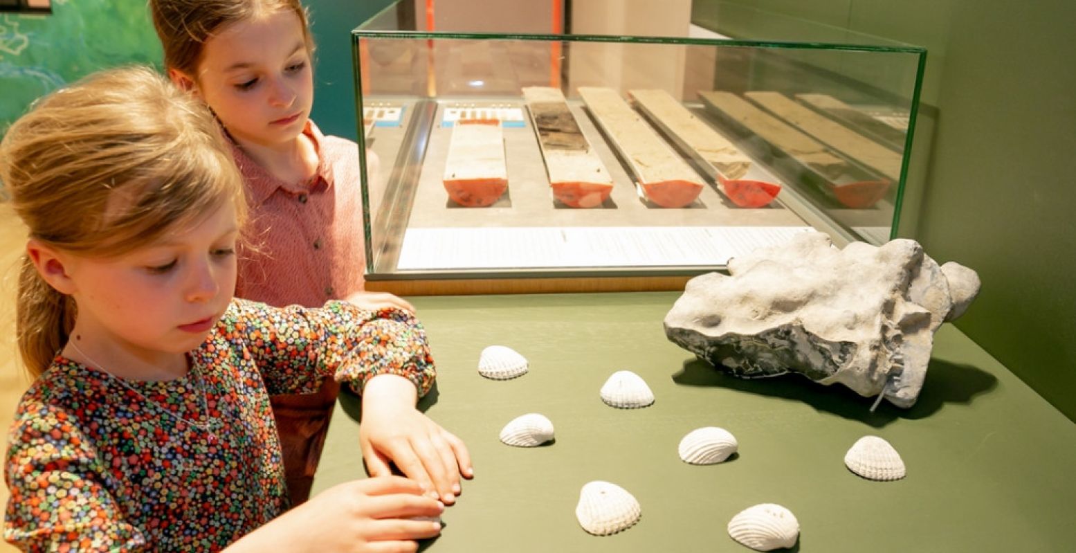 Ontdek ons eigen Atlantis in het Rijksmuseum van Oudheden: Doggerland, een geheimzinnig prehistorisch rijk onder de golven van de Noordzee. Dat kan in de vakantie met een spannende familiechallenge. Foto: Rijksmuseum van Oudheden