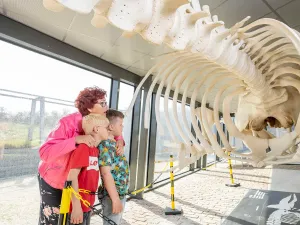 Oma met twee kinderen bestuderen het skelet van een gigantische walvis. Foto: Peter van Aalst