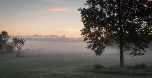 Er even tussenuit in deze idyllische Natuurhuisjes Genieten van de prachtige natuur in een heerlijk Natuurhuisje in het buurtschap Papenvoort . Foto: Natuurhuisje.nl