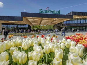 Keukenhof Foto: Keukenhof.