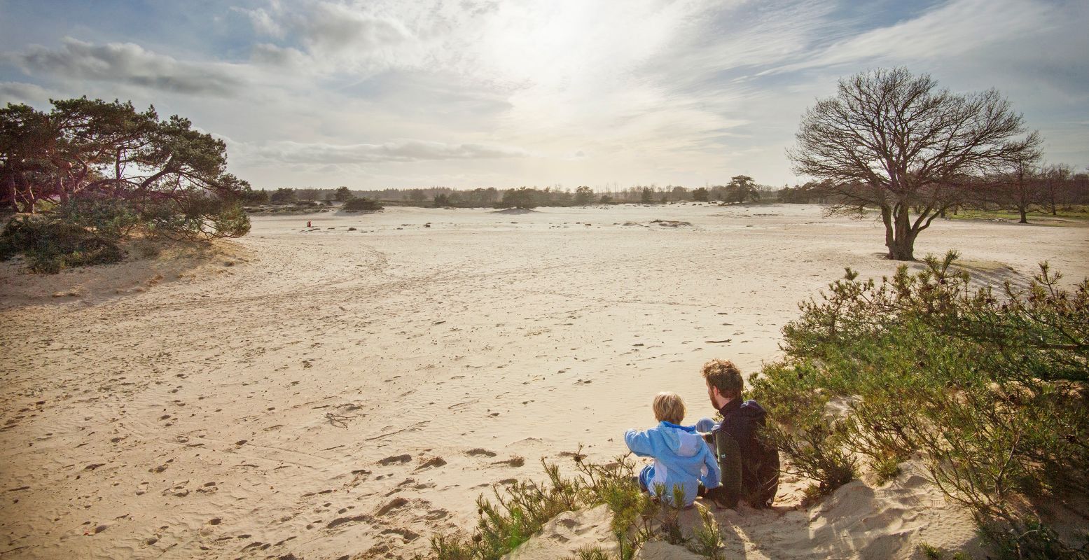 Volg het Stellingenpad en ontdek een uniek gebied: de Stellingwerven, met onder andere het Drents-Friese Wold. Foto: Marcel van Kammen