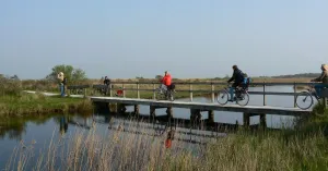 Fietsontdekkingstocht op Schiermonnikoog Fietsontdekkingstocht op Schiermonnikoog | Foto geüpload door gebruiker Natuurmonumenten.