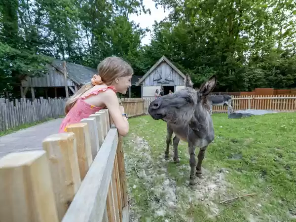 Ook ons eigen Limburg komt aan bod. Foto: GaiaZOO