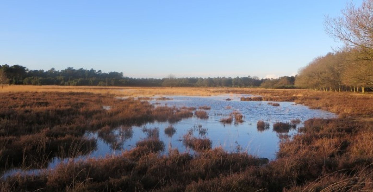 Ga een voor een frisse neus naar het Dwingelderveld. Foto:  Flickr / TijsB .  CC by-sa 2.0 