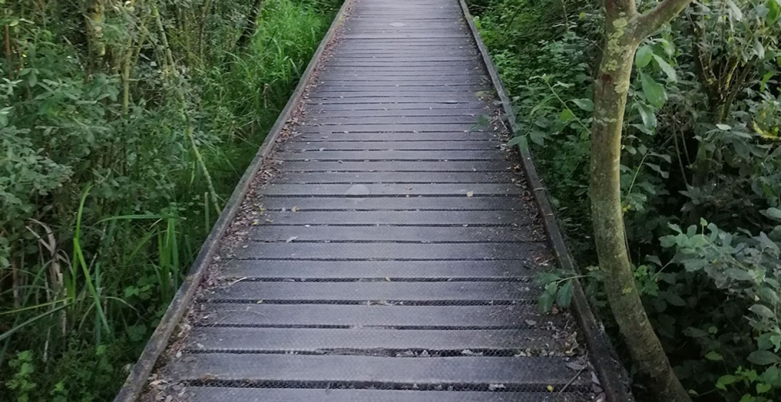 Overal in Nederland zijn ook paden aangelegd waar een rolstoel overheen kan. Verhard, halfverhard en met bruggen die het pad horizontaal houden. Foto: DagjeWeg.NL
