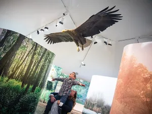 Meevliegen. Foto: Archief Biesbosch MuseumEiland