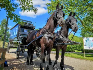 Laat je voorttrekken door sterke paarden. Foto: Stalhouderij Familie Zwaan