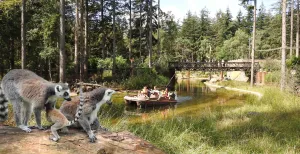 Voorjaarsvakantie: dagje uit bij mooi weer Geniet van het prachtige weer tijdens een dagje Dierenpark Amersfoort. Foto: DierenPark Amersfoort