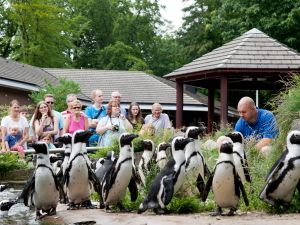 Burgers' Zoo